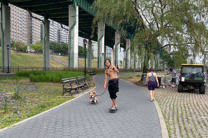 A man shirtless man and his dog ride skateboards in Hudson River Park.